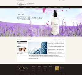 lilium skincare網站效果圖 深圳網絡公司的專業建站之道