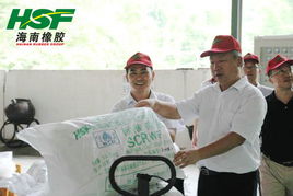 李明泉總裁深入云南海膠調研，指導推進現代化網站建設與數字化轉型